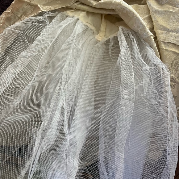 Vintage Lace-up Tulle Underlay Gown - Picture 6 of 9